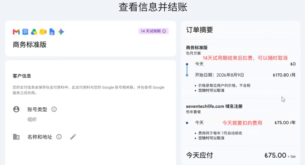 Google Workspace:结账页核对席位试用与域名年费