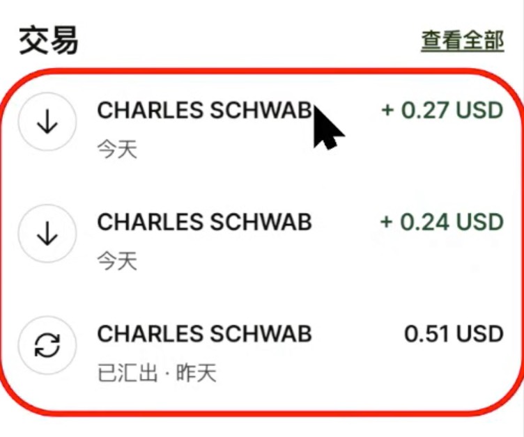 Wise 交易记录:查看 CHARLES SCHWAB 试存试取金额